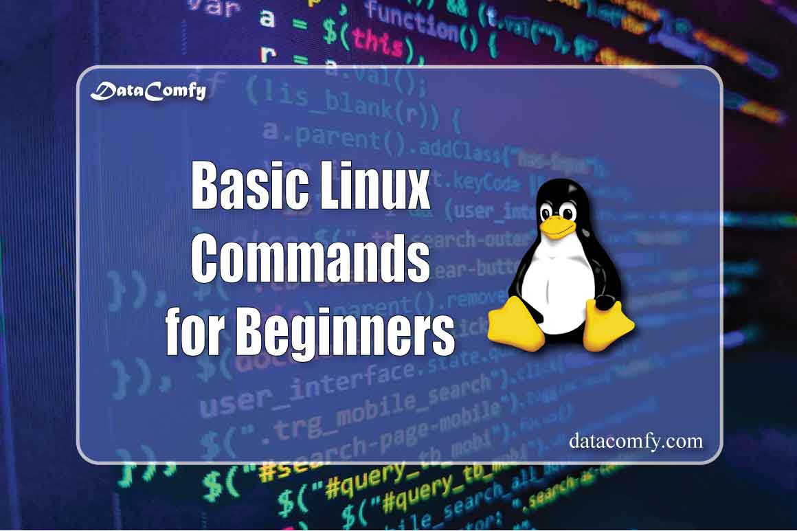 Basic Linux Commands for Beginners